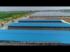 इस्पात संरचना गोदाम